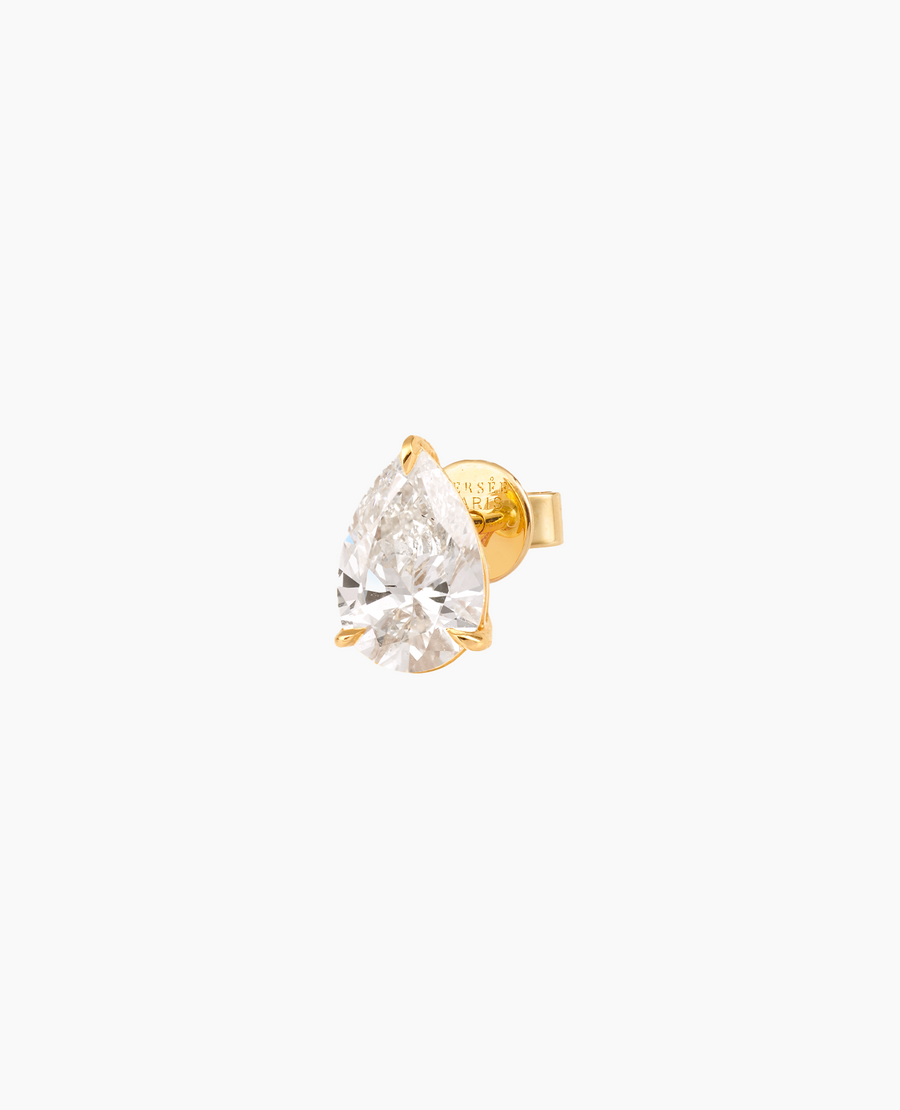 Puces d'oreilles